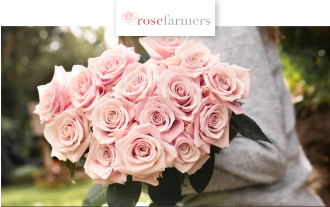 Rose Farmers deals